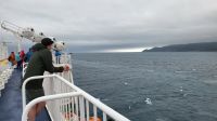 Rundreise Neuseeland - Fährüberfahrt von Wellington nach Picton