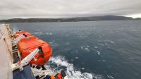 Rundreise Neuseeland - Fährüberfahrt von Wellington nach Picton