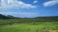 Rundreise Neuseeland - Fahrt zum 90 Mile Beach