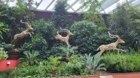 Rundreise Neuseeland - Flower Dome im Gardens by the Bay in Singapur