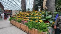 Rundreise Neuseeland - Flower Dome im Gardens by the Bay in Singapur
