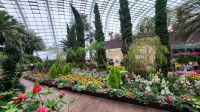 Rundreise Neuseeland - Flower Dome im Gardens by the Bay in Singapur