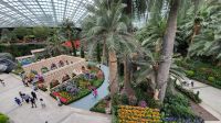 Rundreise Neuseeland - Flower Dome im Gardens by the Bay in Singapur