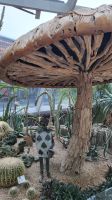 Rundreise Neuseeland - Flower Dome im Gardens by the Bay in Singapur