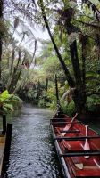 Rundreise Neuseeland - Hangi-Abendessen mit Maori-Show