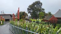 Rundreise Neuseeland - Maorizentrum in Te Puia
