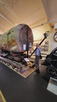 Rundreise Neuseeland - Matakohe Kauri Museum