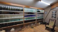 Rundreise Neuseeland - Matakohe Kauri Museum