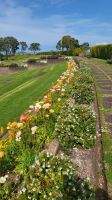 Rundreise Neuseeland - Michael Joseph S. Memorial in Auckland