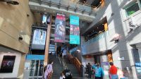 Rundreise Neuseeland - Museum of New Zealand in Wellington