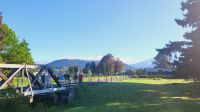 Rundreise Neuseeland - Ohakune, die Karottenhauptstadt