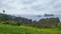 Rundreise Neuseeland - Rückweg von Cathedral Cove