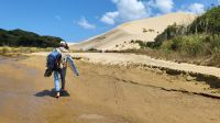 Rundreise Neuseeland - Sanddünen