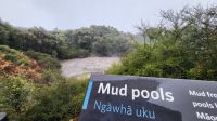 Rundreise Neuseeland - Schlammquellen in Te Puia