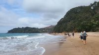Rundreise Neuseeland - Spaziergang zum Hot Water Beach