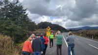 Rundreise Neuseeland - Stopp am Kiwi-Schild im Tongariro-Nationalpark