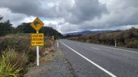 Rundreise Neuseeland - Stopp am Kiwi-Schild im Tongariro-Nationalpark