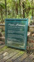 Rundreise Neuseeland - Tane Mahuta im Kauriwald