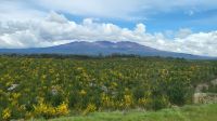 Rundreise Neuseeland - Vulkane im Tongariro-Nationalpark
