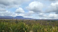Rundreise Neuseeland - Vulkane im Tongariro-Nationalpark