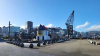 Rundreise Neuseeland - Waterfront in Wellington