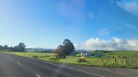 Rundreise Neuseeland - unterwegs nach Wellington