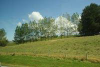 Südinsel NZ (2)