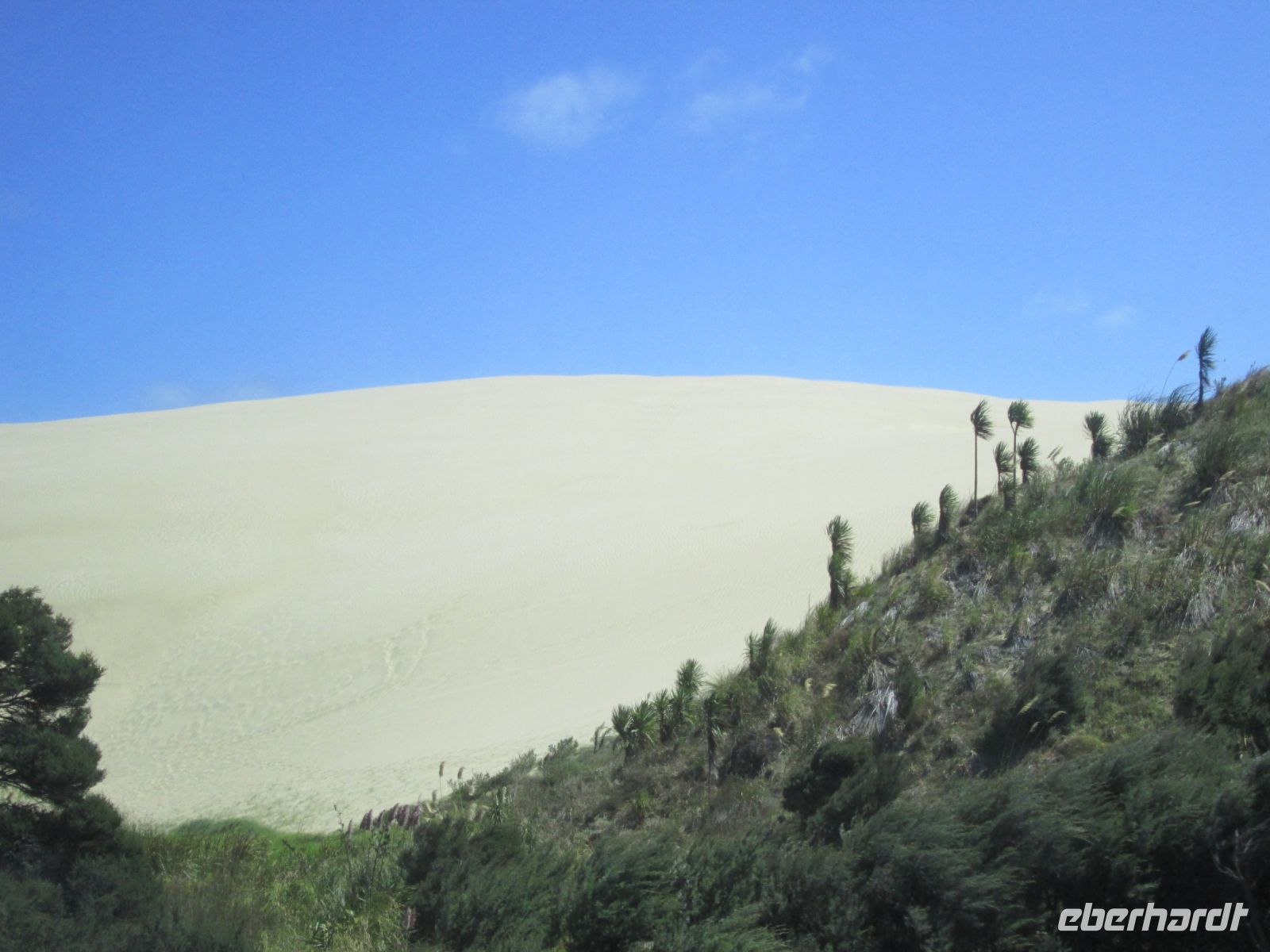 Sandboarding