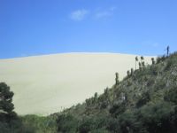 Sandboarding