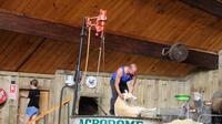 Schaf-Show im Agrodom in Rotorua