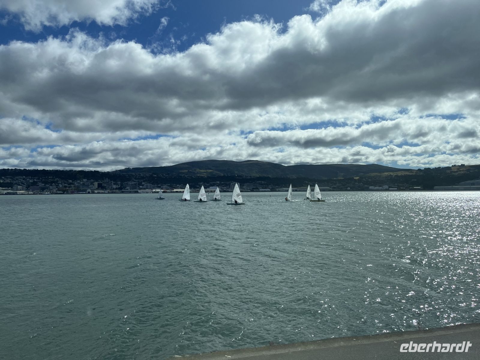 Segelboote in der Otago Bay