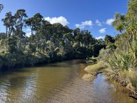 Ship Creek 