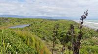 Ship Creek Wanderweg bei Haast