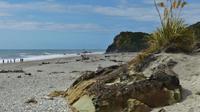 Ship Creek Wanderweg bei Haast