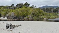 Ship Creek Wanderweg bei Haast