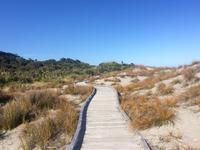 Ship Creek