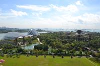 Singapur - Gardens by the Bay