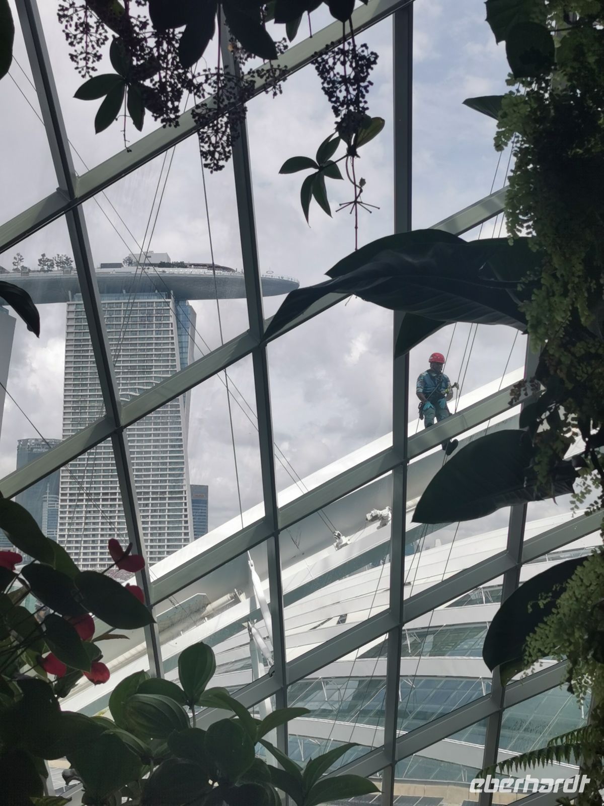 Singapur, Cloud Forest, die Konstruktion wird regelmäßig gewartet. 