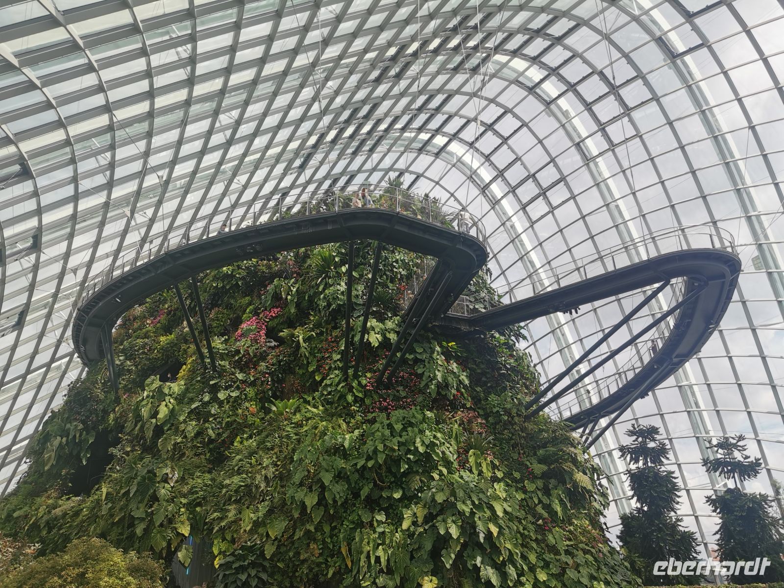 Singapur, Cloud Forest, eine 35 Meter hohe Bergkonstruktion ist mit Orchideen, Bromelien und Anthurien bedeckt.