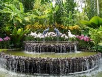 Singapur, Orchideengarten