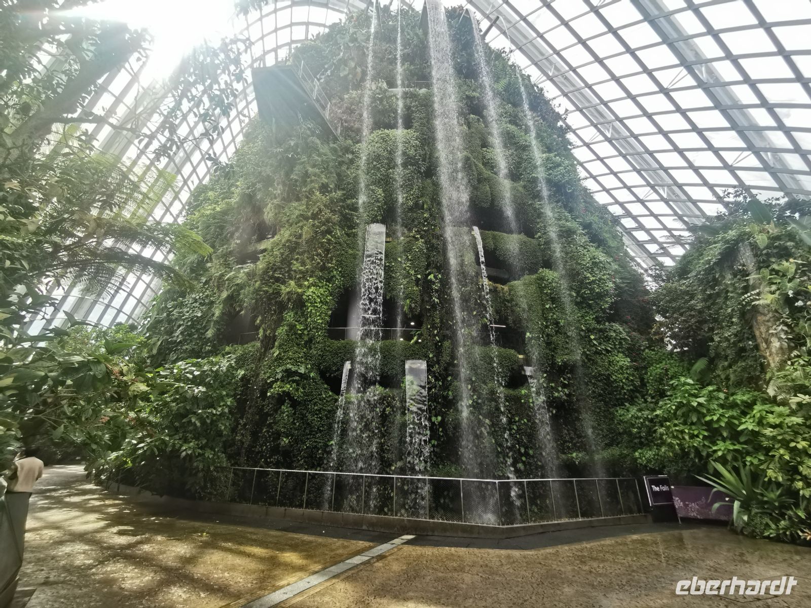 Singapur, der Cloud Forest stellt die Vegetationszone der Tropen in Höhen von 1.000 bis 3.000 Metern nach. 