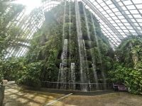 Singapur, der Cloud Forest stellt die Vegetationszone der Tropen in Höhen von 1.000 bis 3.000 Metern nach. 