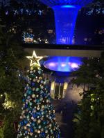 Singapur