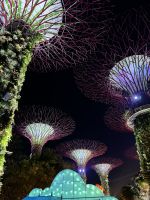 Singapur