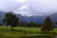 Spaziergang zum Lake Matheson