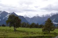 Spaziergang zum Lake Matheson