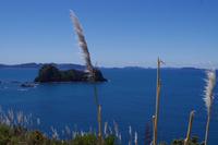 Spaziergang zur Cathredral Cove