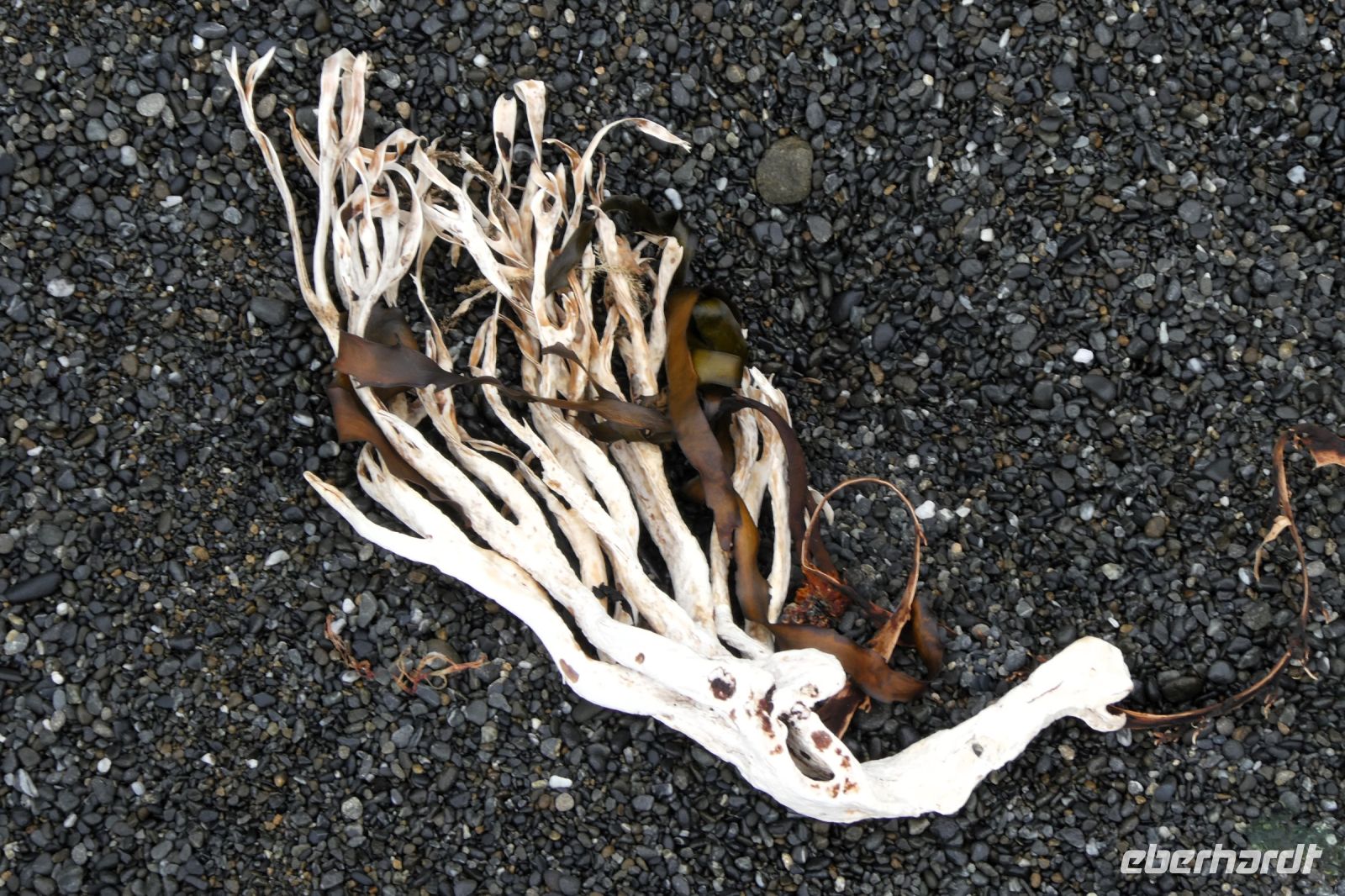 Stillleben