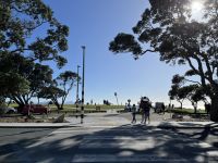 Strand in Waipu