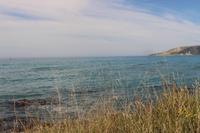 Strand von Kaikoura
